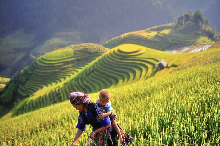 Mu Cang Chai - Yen Bai